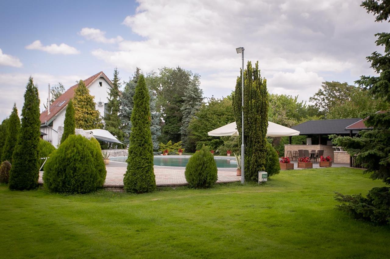 Forras Vendeghaz Villa Dunaegyhaza Buitenkant foto