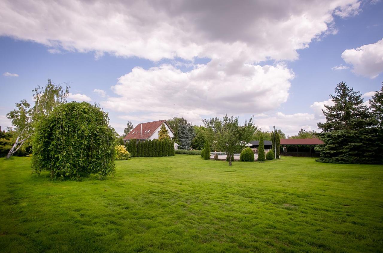 Forras Vendeghaz Villa Dunaegyhaza Buitenkant foto