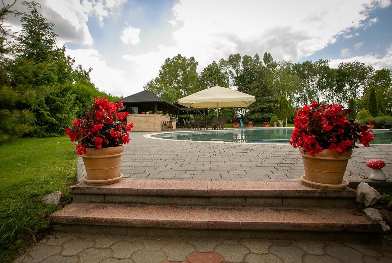 Forras Vendeghaz Villa Dunaegyhaza Buitenkant foto
