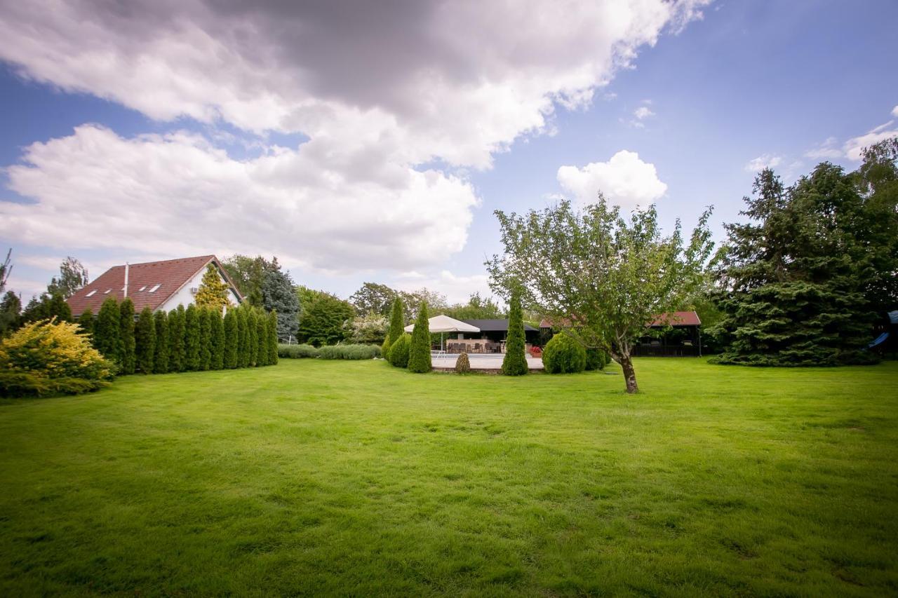 Forras Vendeghaz Villa Dunaegyhaza Buitenkant foto