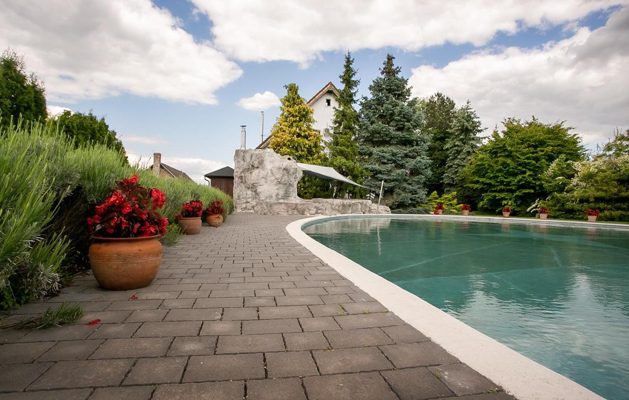 Forras Vendeghaz Villa Dunaegyhaza Buitenkant foto