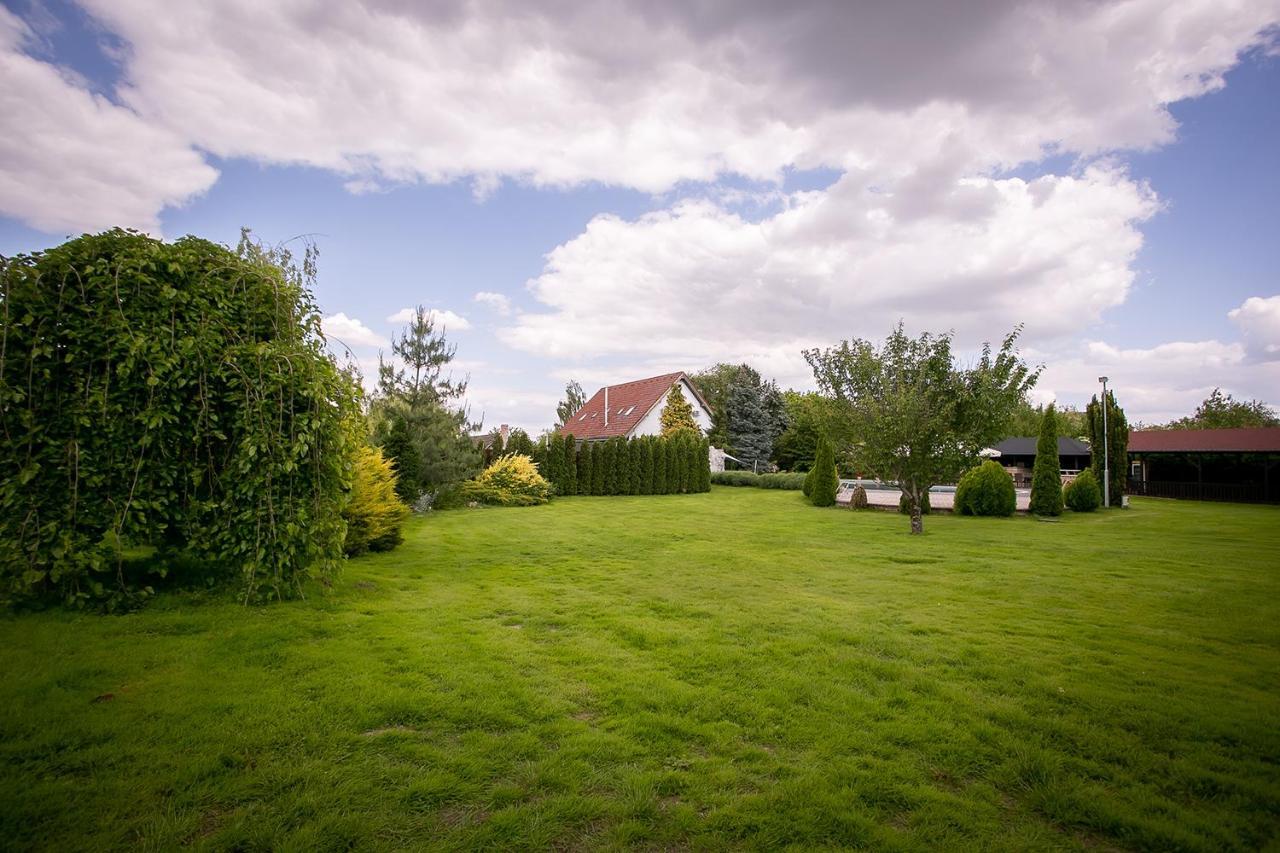 Forras Vendeghaz Villa Dunaegyhaza Buitenkant foto
