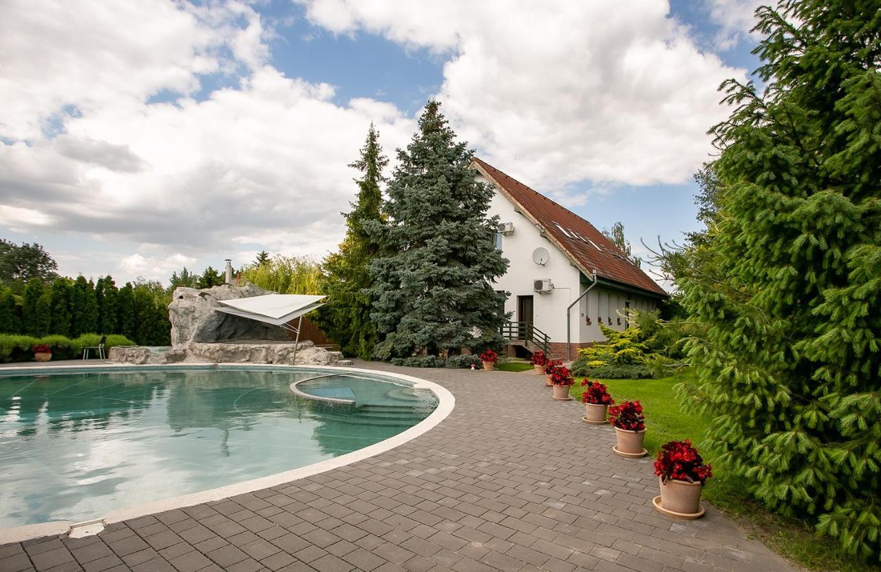 Forras Vendeghaz Villa Dunaegyhaza Buitenkant foto