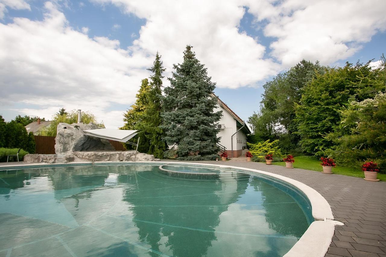 Forras Vendeghaz Villa Dunaegyhaza Buitenkant foto