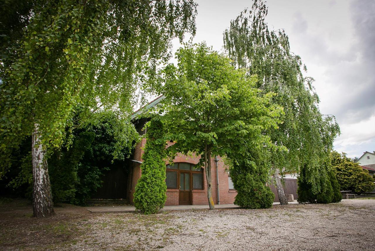 Forras Vendeghaz Villa Dunaegyhaza Buitenkant foto