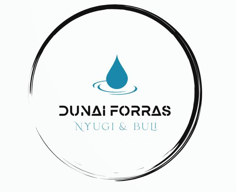 Forras Vendeghaz Villa Dunaegyhaza Buitenkant foto