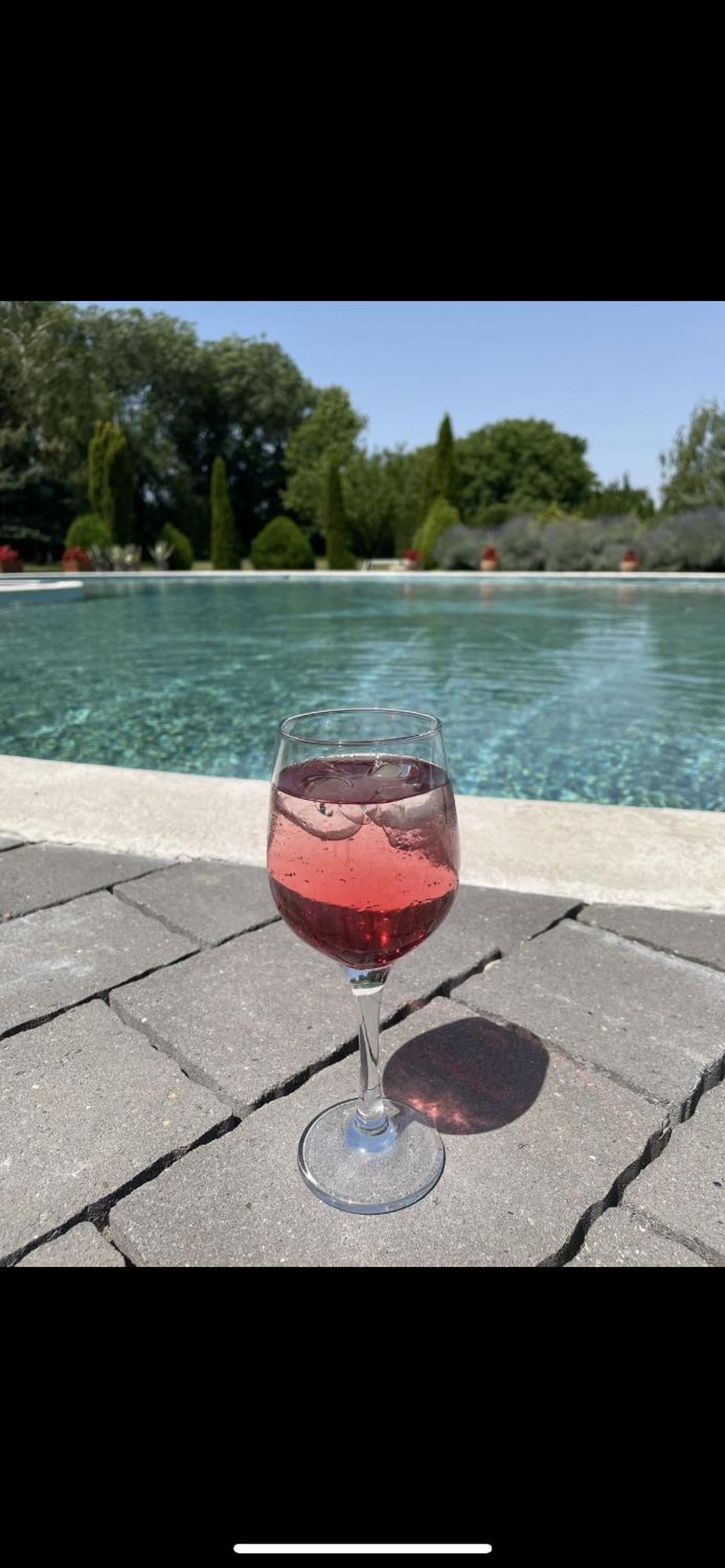 Forras Vendeghaz Villa Dunaegyhaza Buitenkant foto